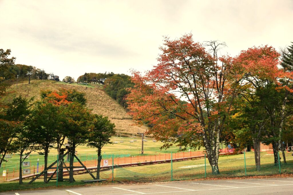 天狗山ゲレンデ周辺　紅葉の様子