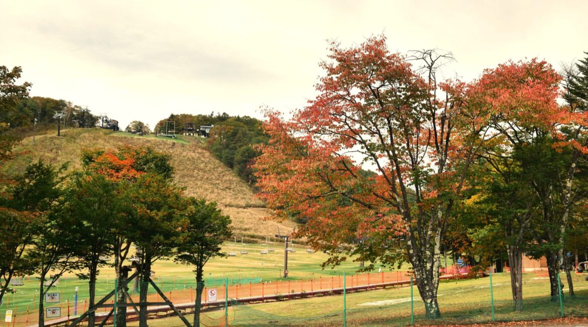 天狗山ゲレンデ周辺　紅葉の様子