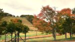 天狗山ゲレンデ周辺　紅葉の様子