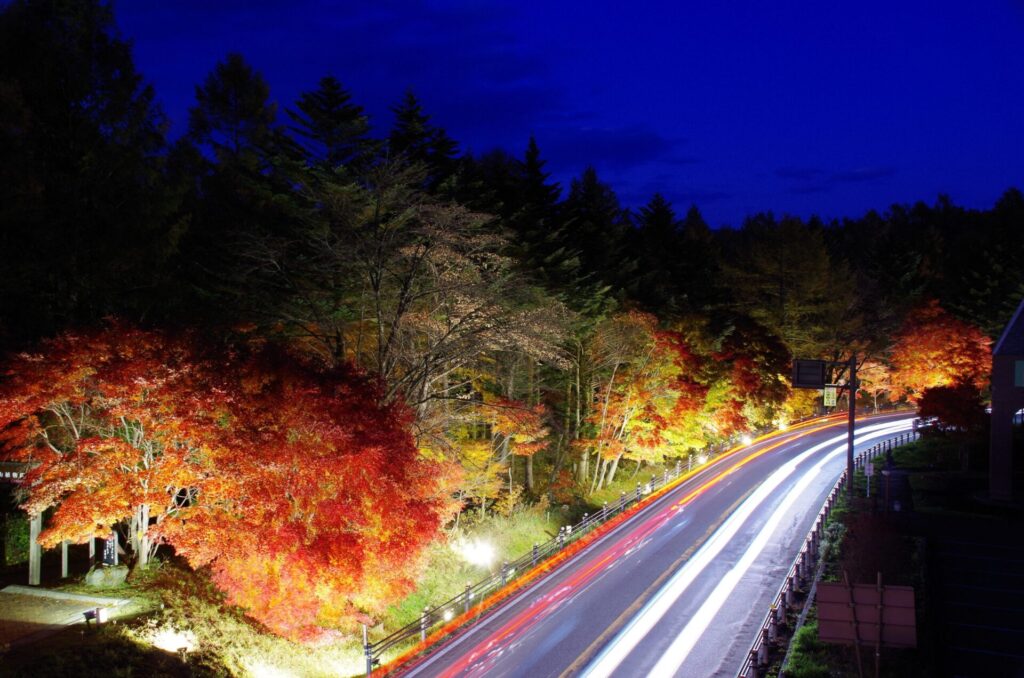 道の駅草津運動茶屋公園　　紅葉ライトアップ2025
