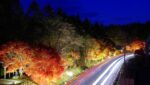 道の駅草津運動茶屋公園　　紅葉ライトアップ2025