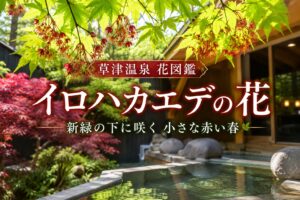 お知らせ一覧 – 【公式】草津温泉 草津スカイランドホテル 栖風亭