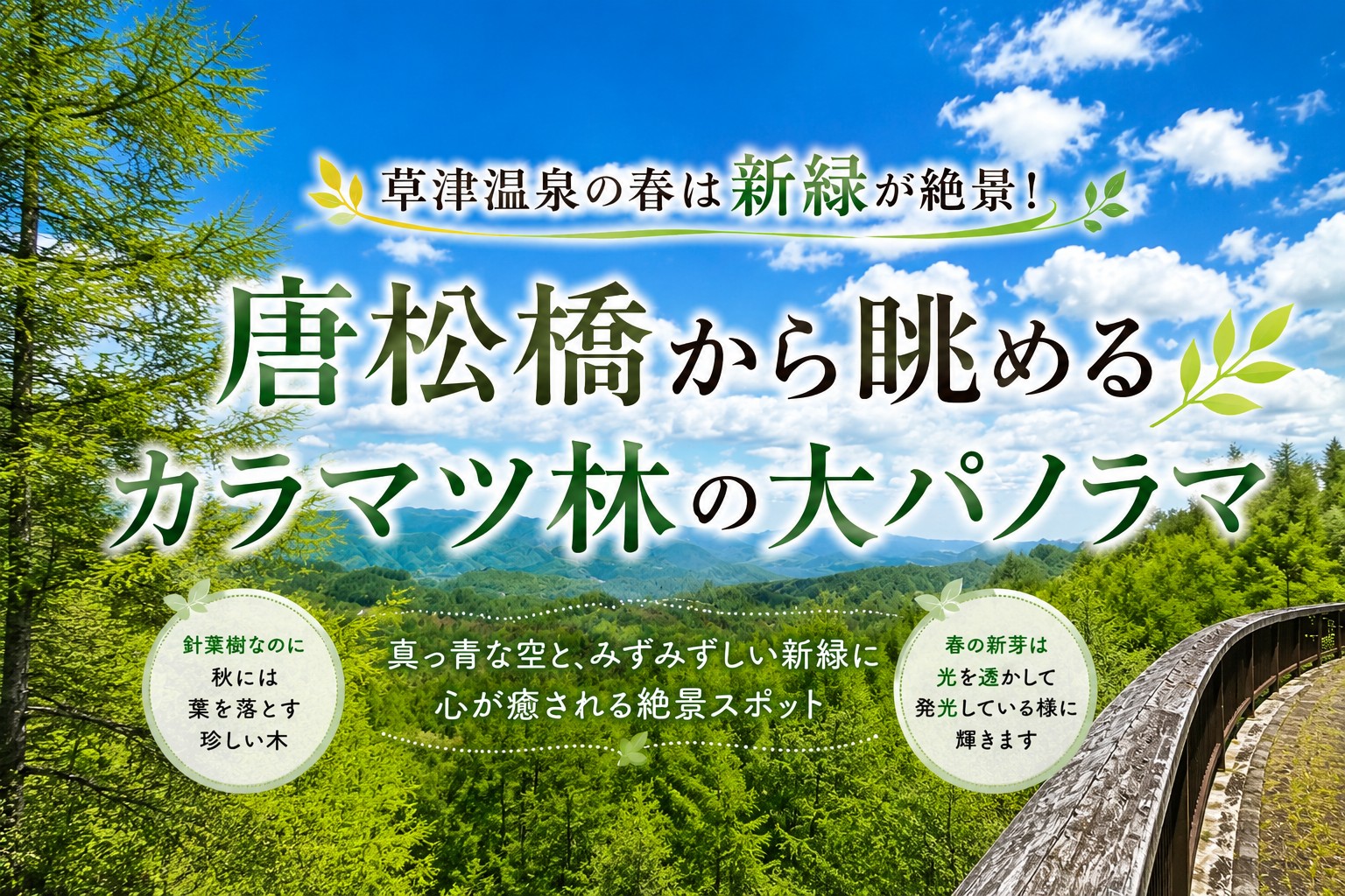 新緑のカラマツ林に感動！唐松橋から眺める草津高原の絶景 – 【公式