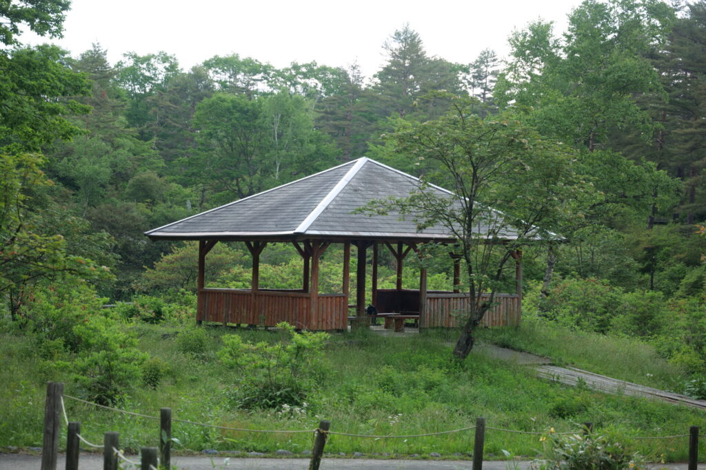 西の河原公園 鬼の相撲場あづまやの新緑風景
