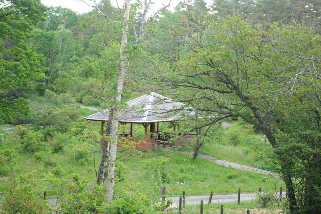 西の河原公園 鬼の相撲場あづまやの新緑風景