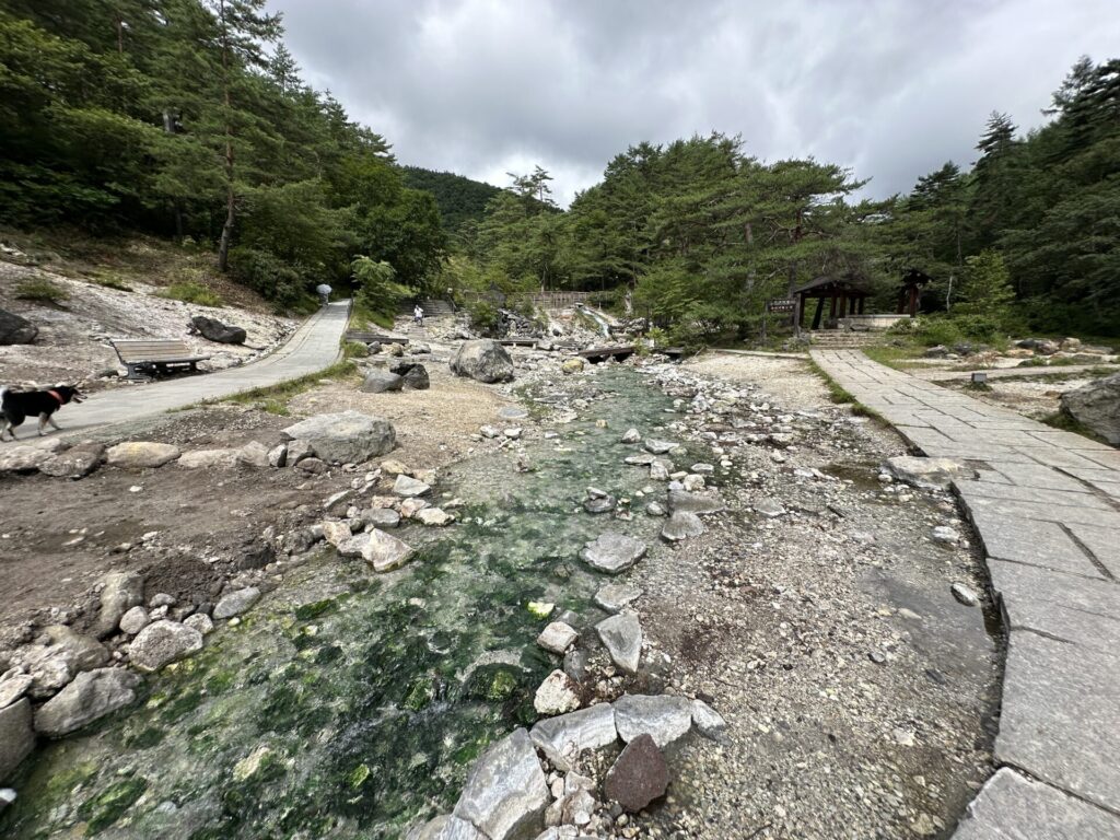 西の河原公園の遊歩道と温泉の川