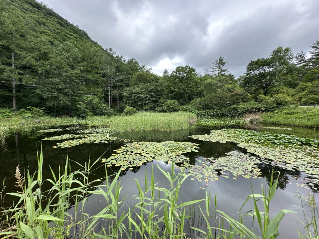 西の河原公園 鬼の相撲場の池