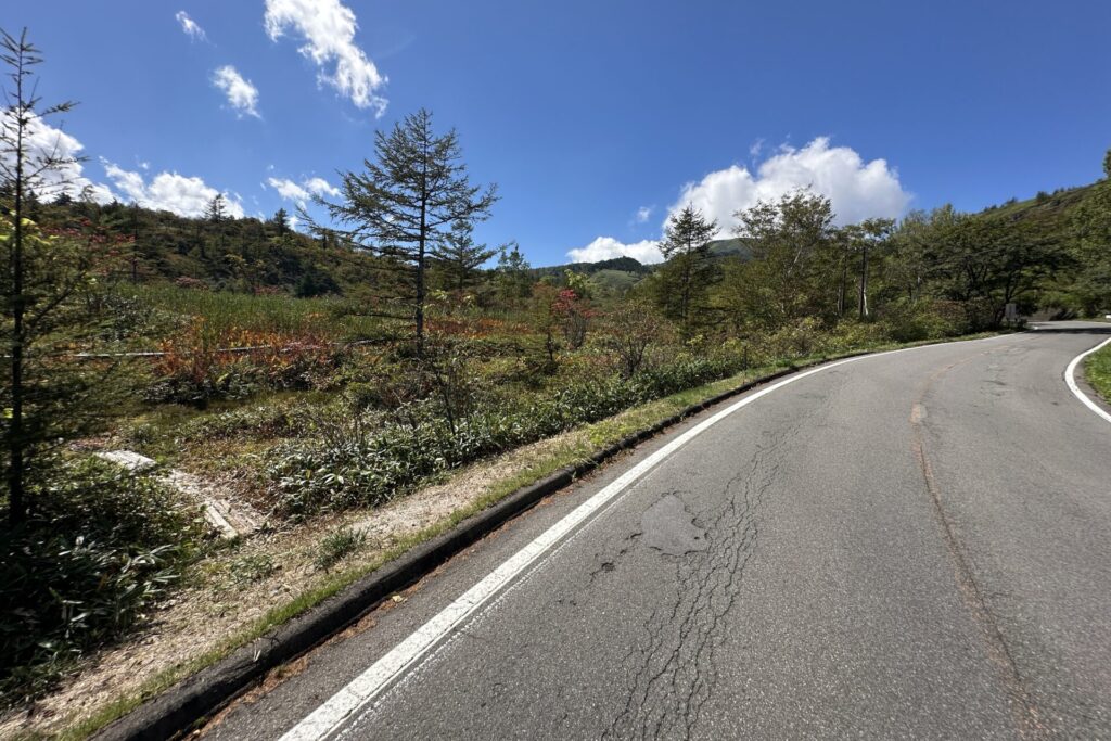 武具脱の池周辺の下側の歩道へ向かう国道沿いの様子