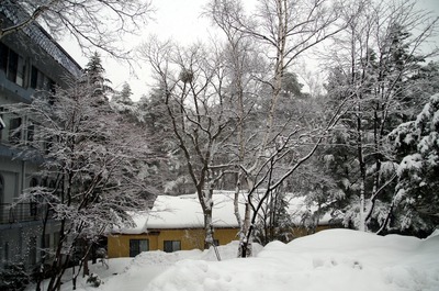 IMGP4456 雪景色