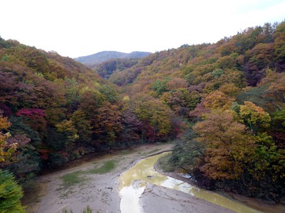 P1110598 谷沢橋の紅葉