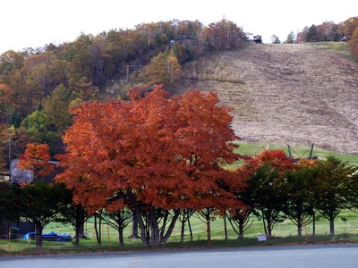 P1110624　天狗山の紅葉