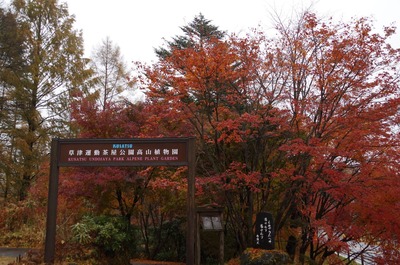 IMGP9283　紅葉