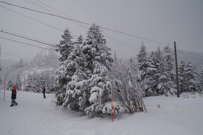 IMGP4121 草津国際スキー場