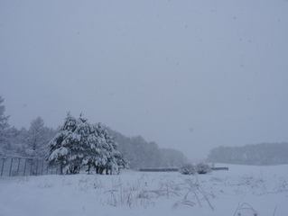P1000823　雪景色