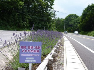 P1030228 さわやか街道