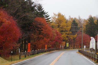 IMGP9290　紅葉