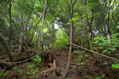 IMGP6306　富貴原の池