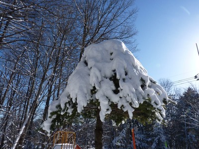 P1190787 雪景色