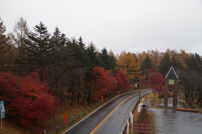 IMGP9293　紅葉