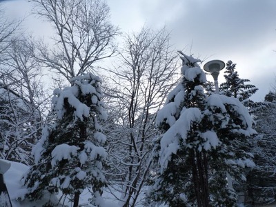 P1080443　雪景色