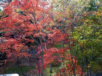 P1110630 客室の窓から見た風景