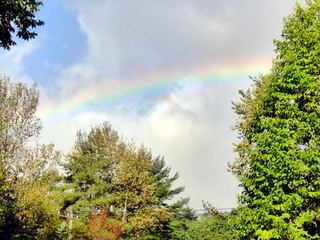 P1000983 草津の森に虹が見えました。