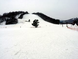 P1000227 草津国際スキー場