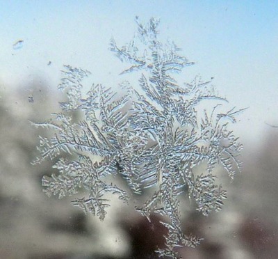 P1200291 雪の結晶