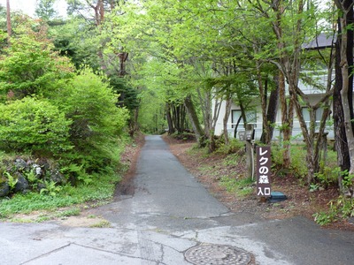 P1090661　新緑